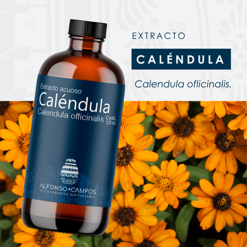 Extracto de Caléndula 120ML | Piel y Cicatrización | Campos
