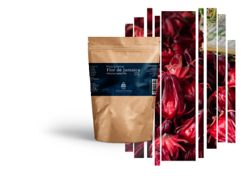 Té de Flor de Jamaica – Presión y Colesterol 100ml