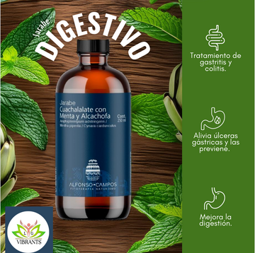 Jarabe Cuachalalate Menta Alcachofa 250ML | Digestión Natural