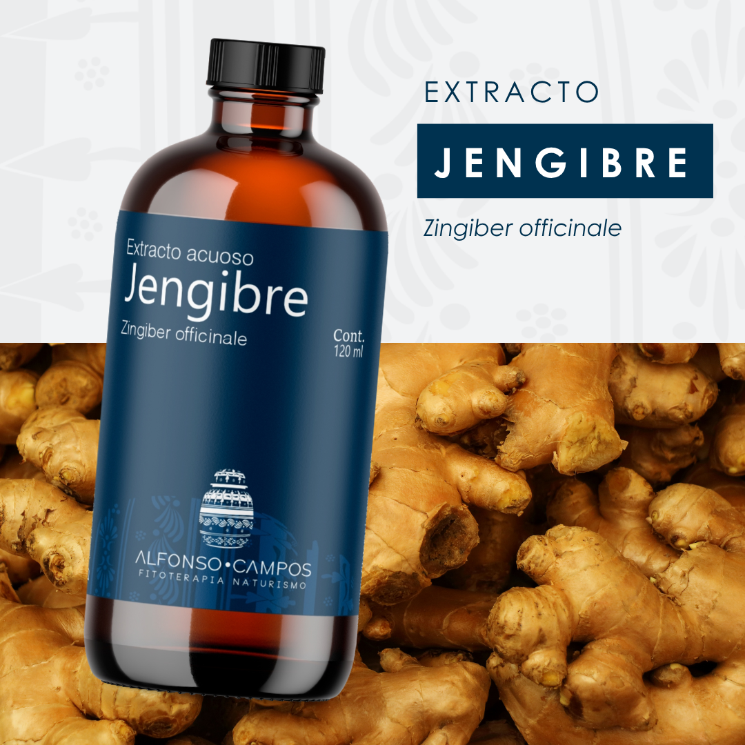 Extracto de Jengibre 120ML | Antiinflamatorio y Náuseas