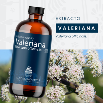 Extracto de Valeriana 120ML | Sueño y Estrés | Campos