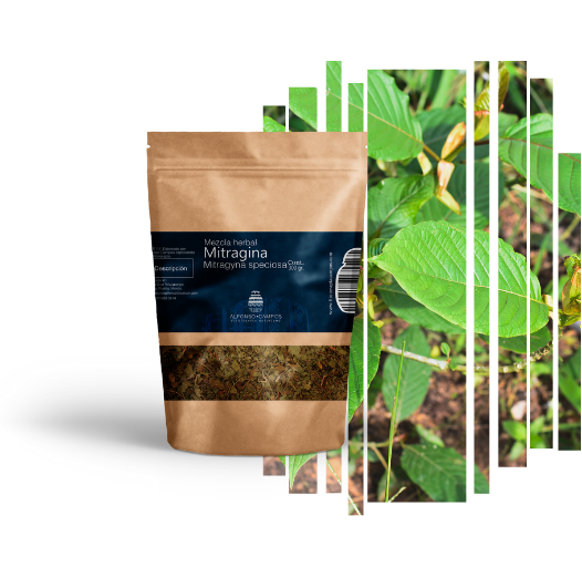 Té de Valeriana – Dolor, Relajación y Ánimo 100ml