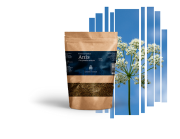 Té de Anís – Digestión, Inflamación y Bienestar 500ml