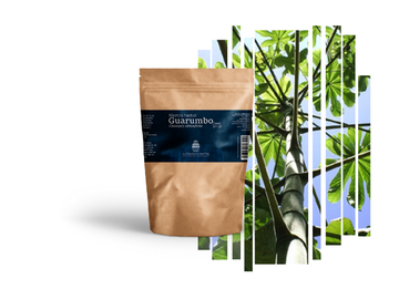 Té de Guarumbo – Glucosa y Salud Cardiovascular 150ml