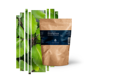 Té de Prodigiosa – Glucosa y Salud Hepática 150ml