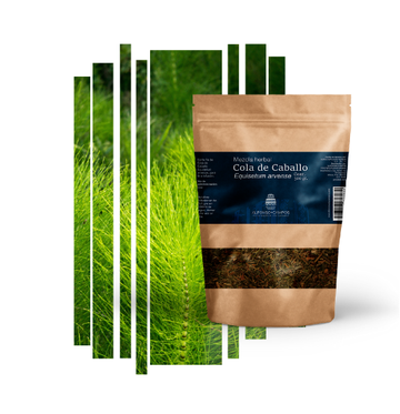 Té de Cola de Caballo – Diurético y Detox 150ml