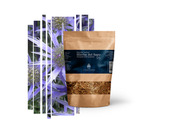 Té Hierba del Sapo – Colesterol y Salud Renal 150ml