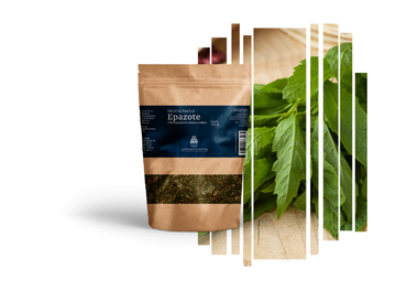 Té de Epazote – Antiparasitario y Digestivo 100ml